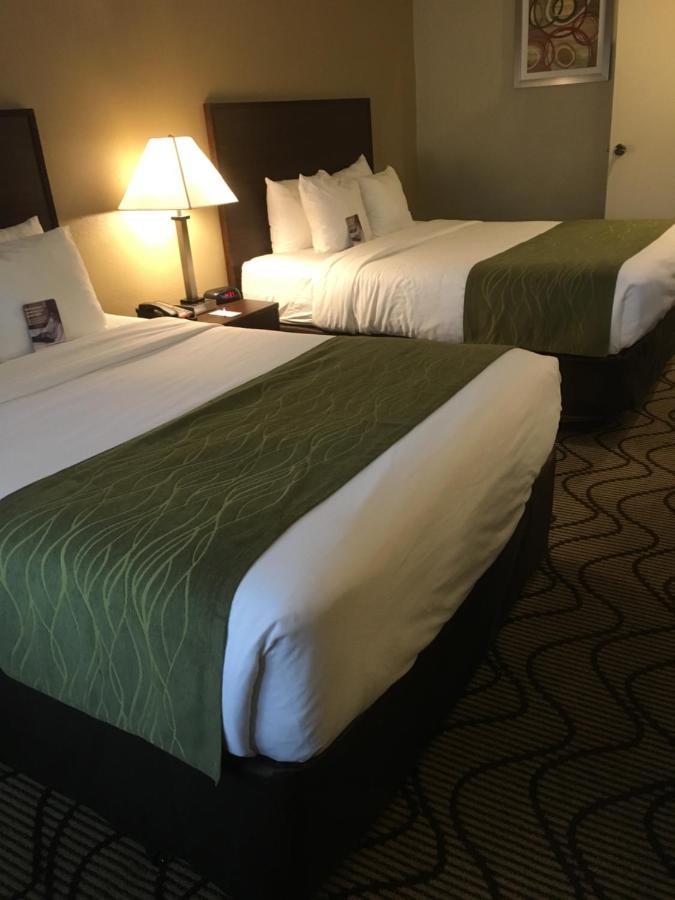 Comfort Inn & Suites Orange County John Wayne Airport Санта Ана Екстериор снимка